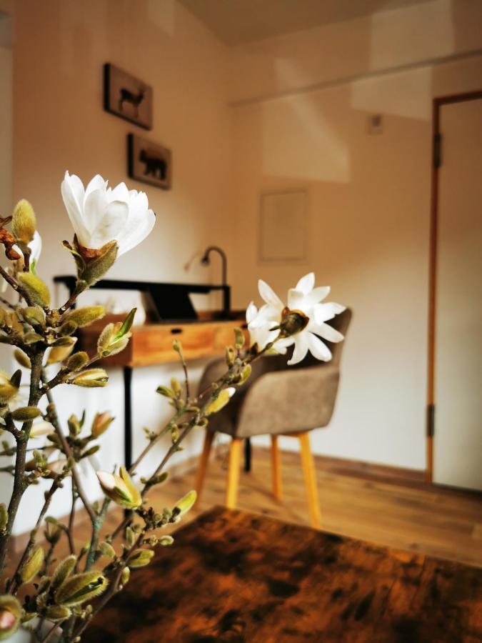 Haselnuss Apartment Ilsenburg Luaran gambar